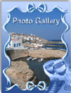 Photo Gallery
